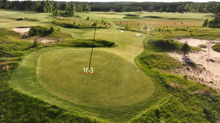 placeholder13
